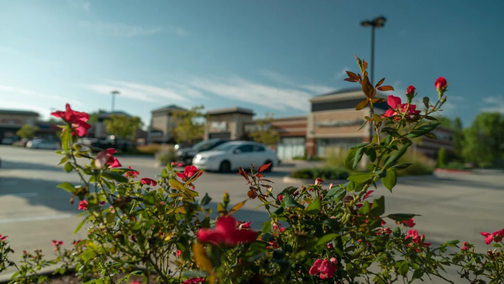 Shoppes at Fox Lake photo 10